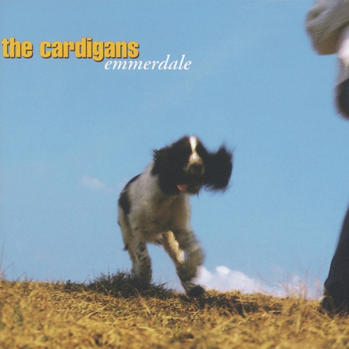 Emmerdale by The Cardigans album cover