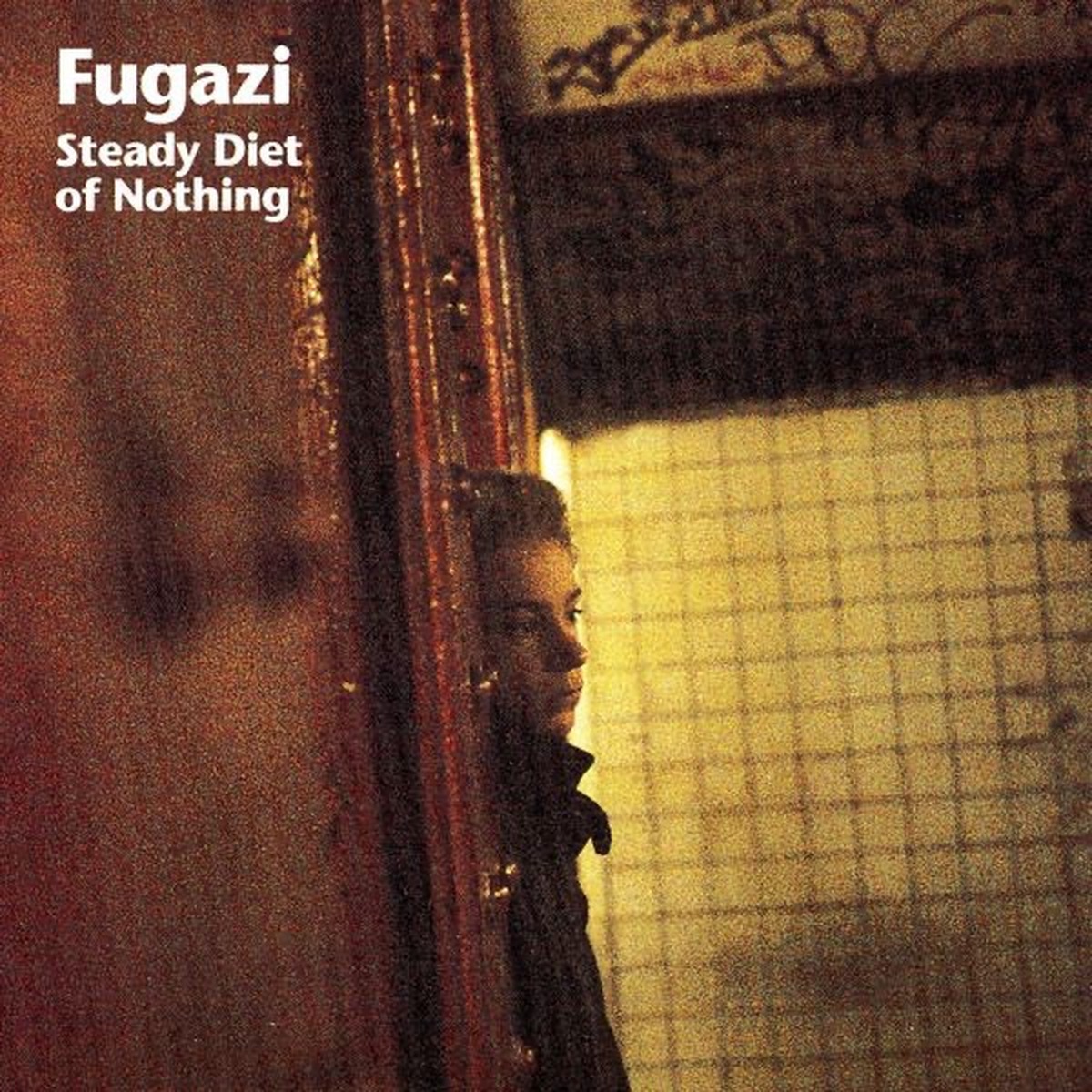 Steady Diet of Nothing by Fugazi