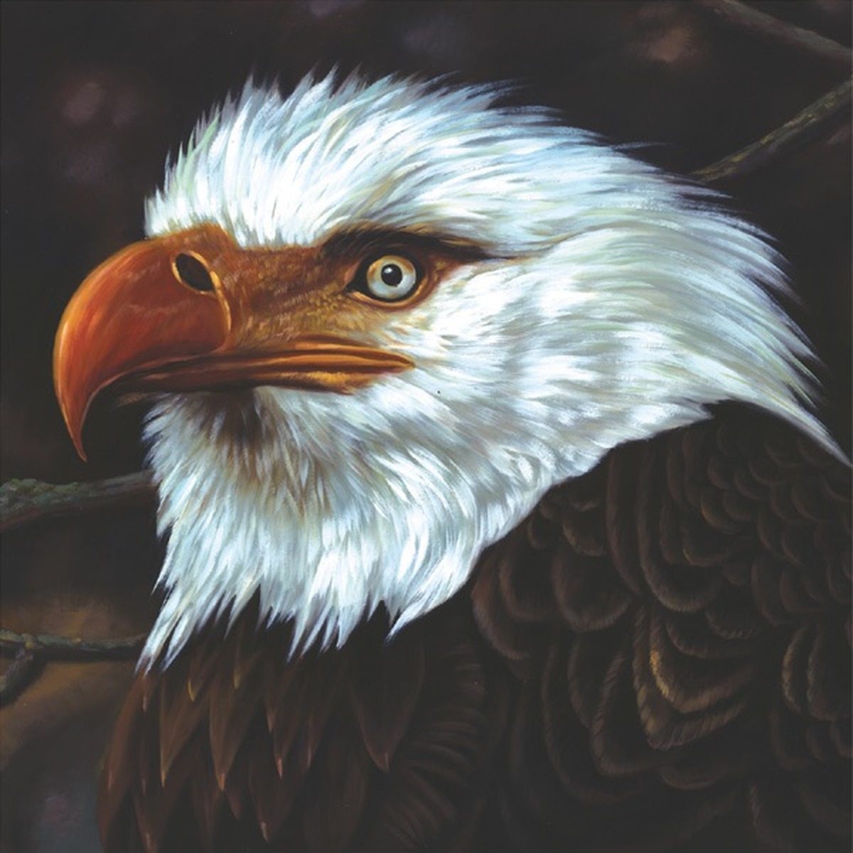 The Hawk Is Howling by Mogwai