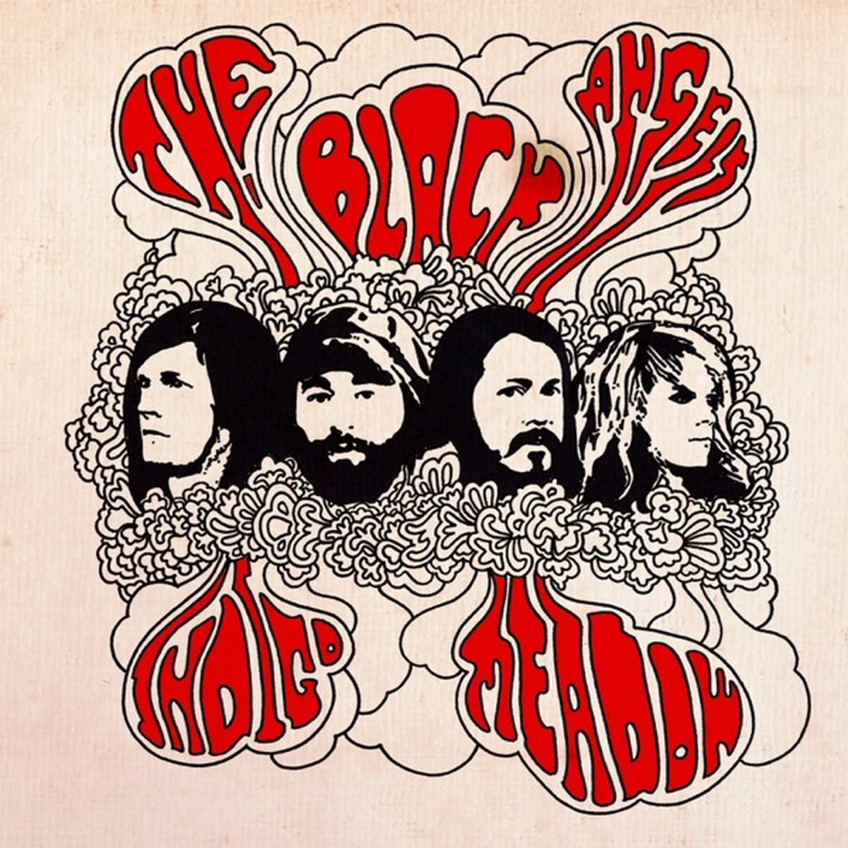 Indigo Meadow by The Black Angels album cover