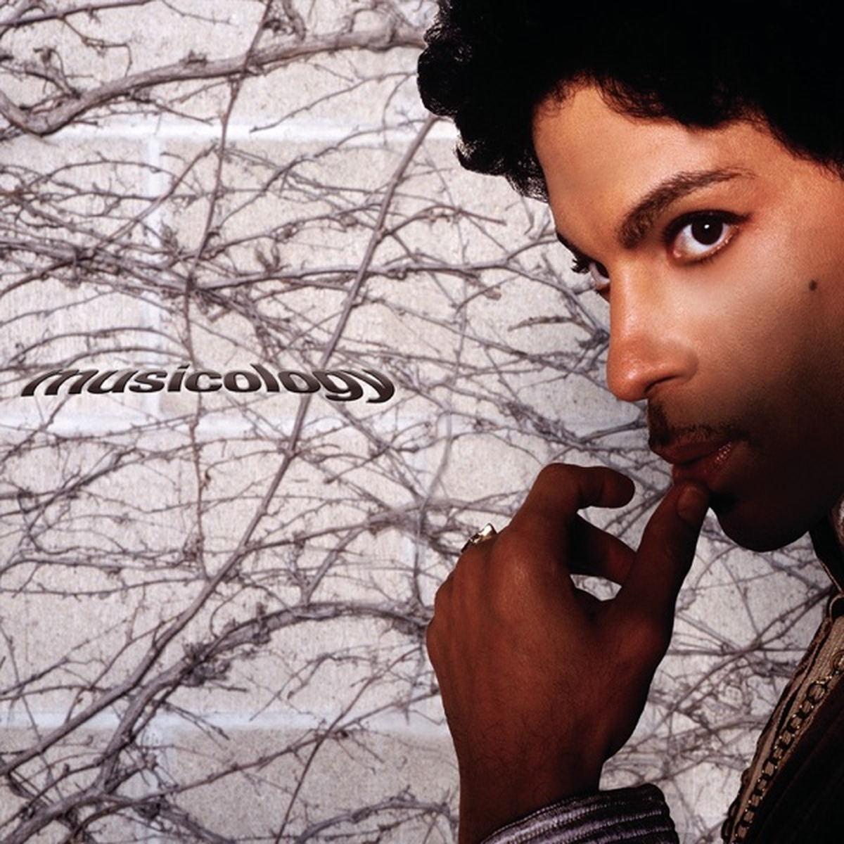 Musicology by Prince