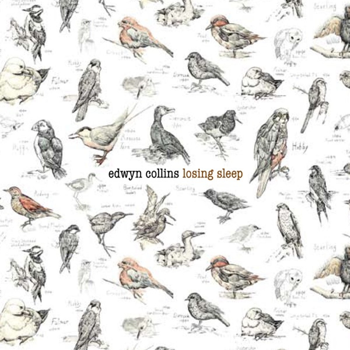 Losing Sleep by Edwyn Collins