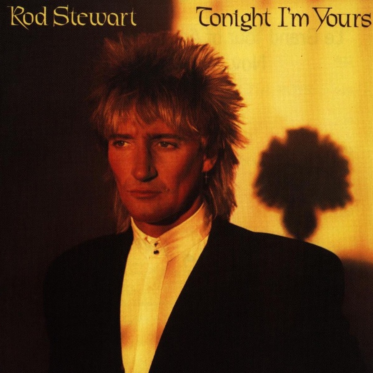 Tonight I'm Yours by Rod Stewart album cover