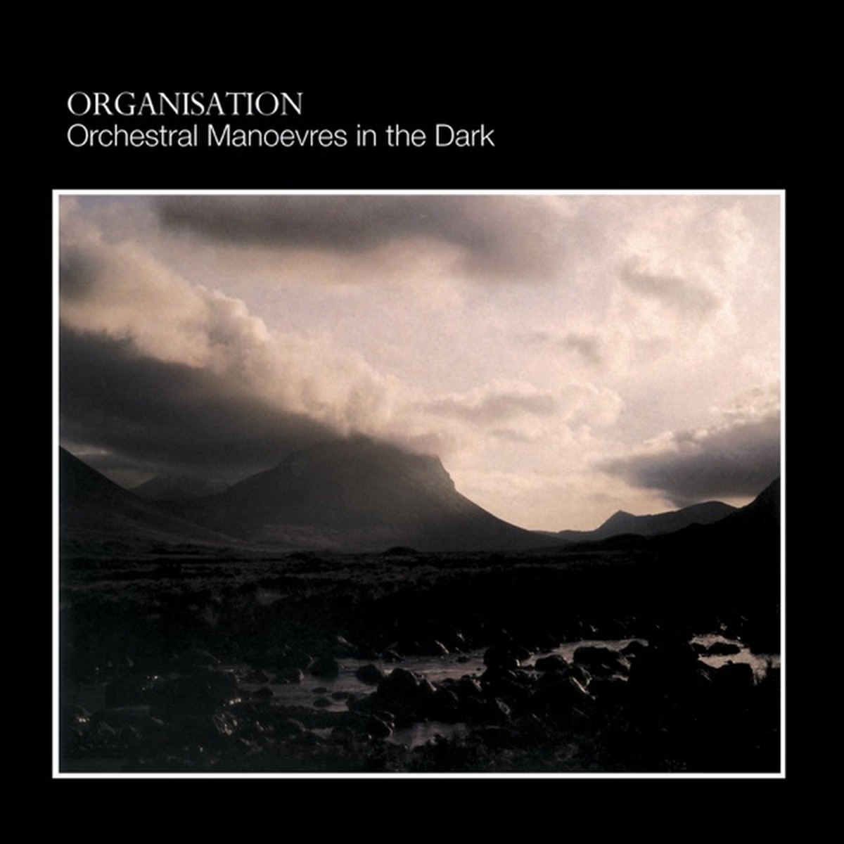 Organisation by OMD