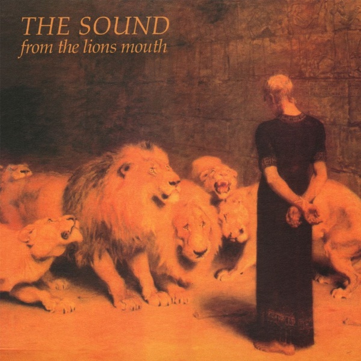 From the Lions Mouth by The Sound album cover