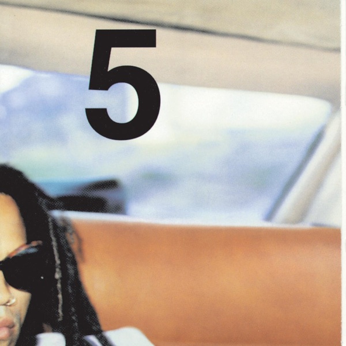 Are You Gonna Go My Way by Lenny Kravitz album cover