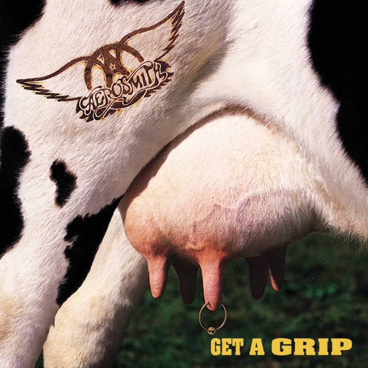 Get a Grip by Aerosmith album cover