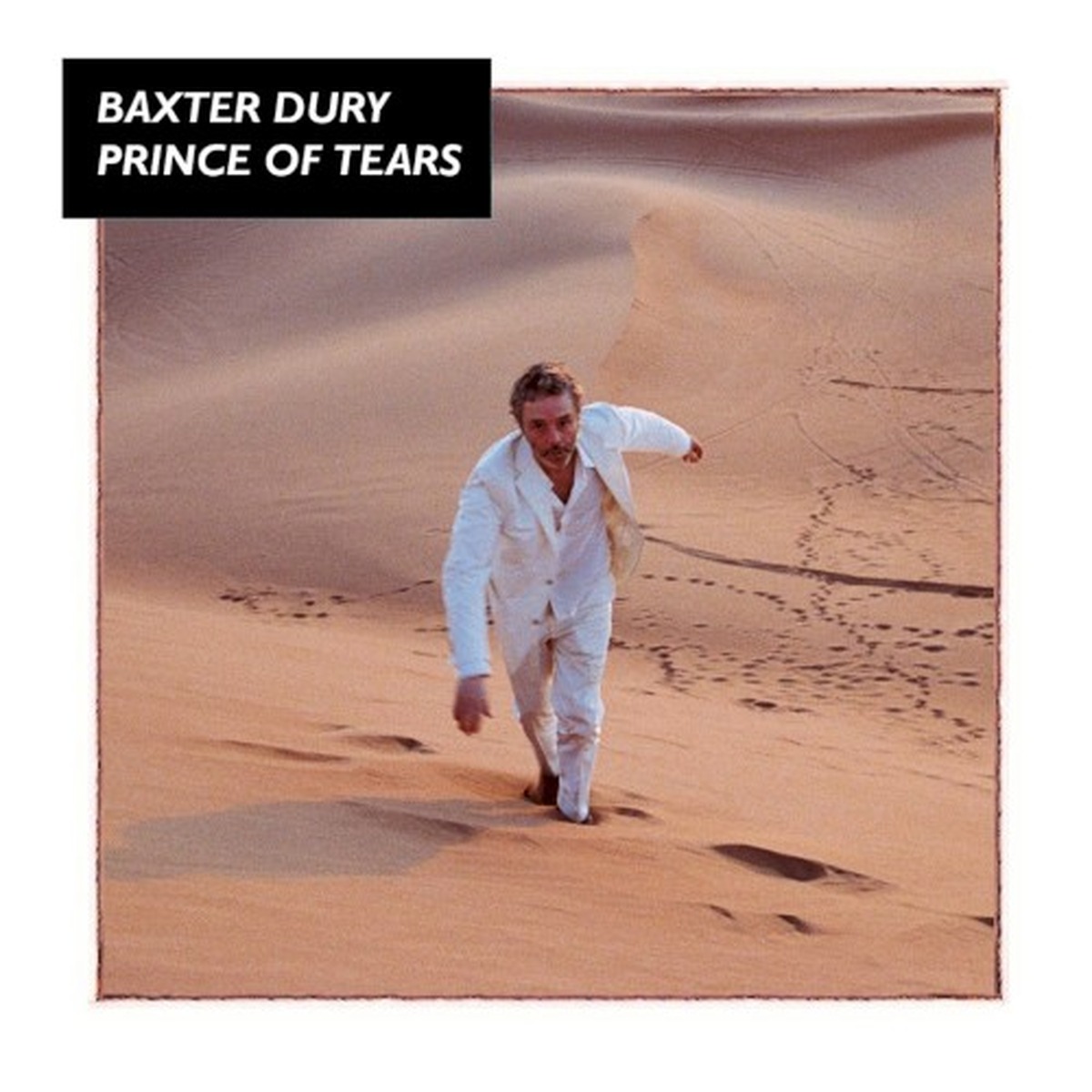 Prince of Tears (album) by Baxter Dury album cover