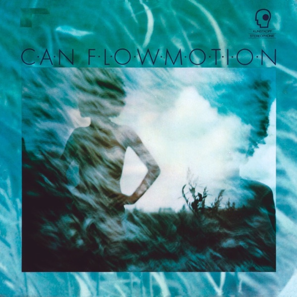 Flow Motion by Can