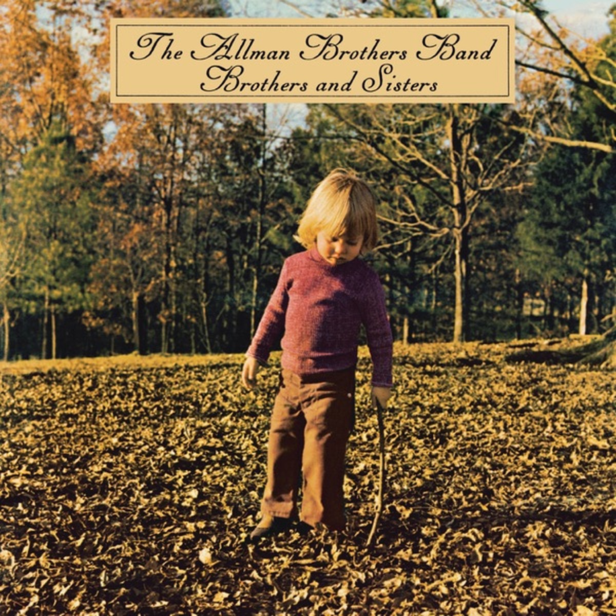 Brothers and Sisters by The Allman Brothers Band album cover