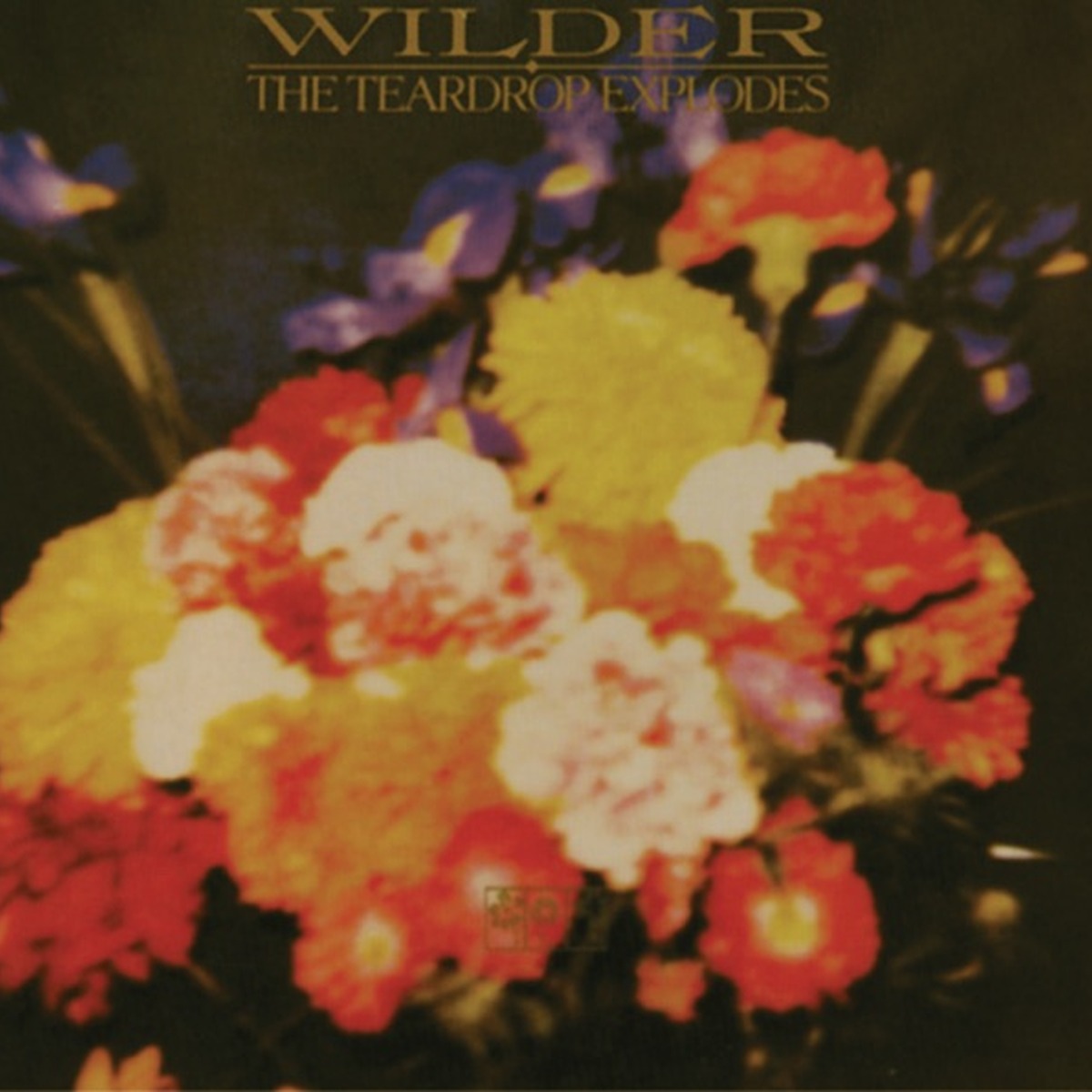 Wilder by The Teardrop Explodes album cover