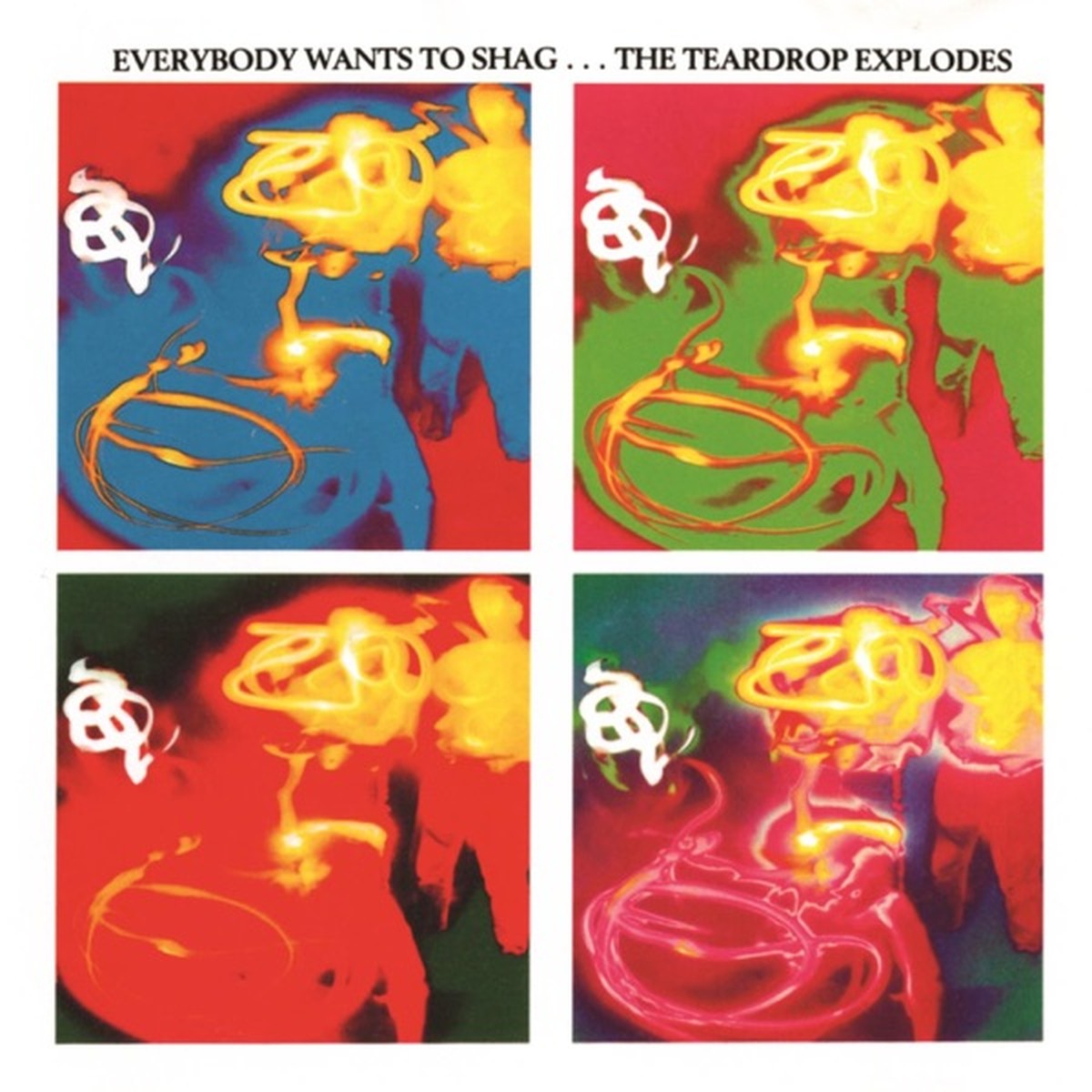Everybody Wants to Shag... The Teardrop Explodes by The Teardrop Explodes album cover