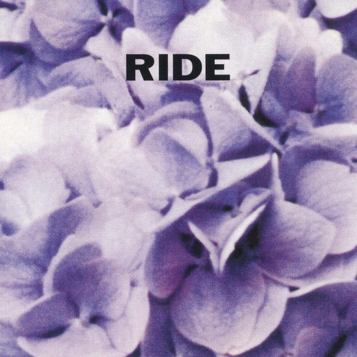 Smile (Ride album) by Ride album cover