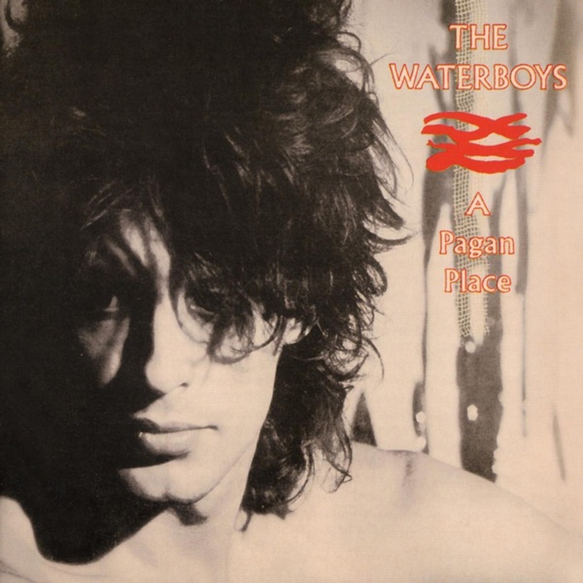 A Pagan Place by The Waterboys album cover