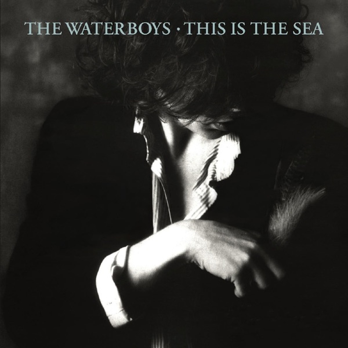 This Is the Sea by The Waterboys album cover