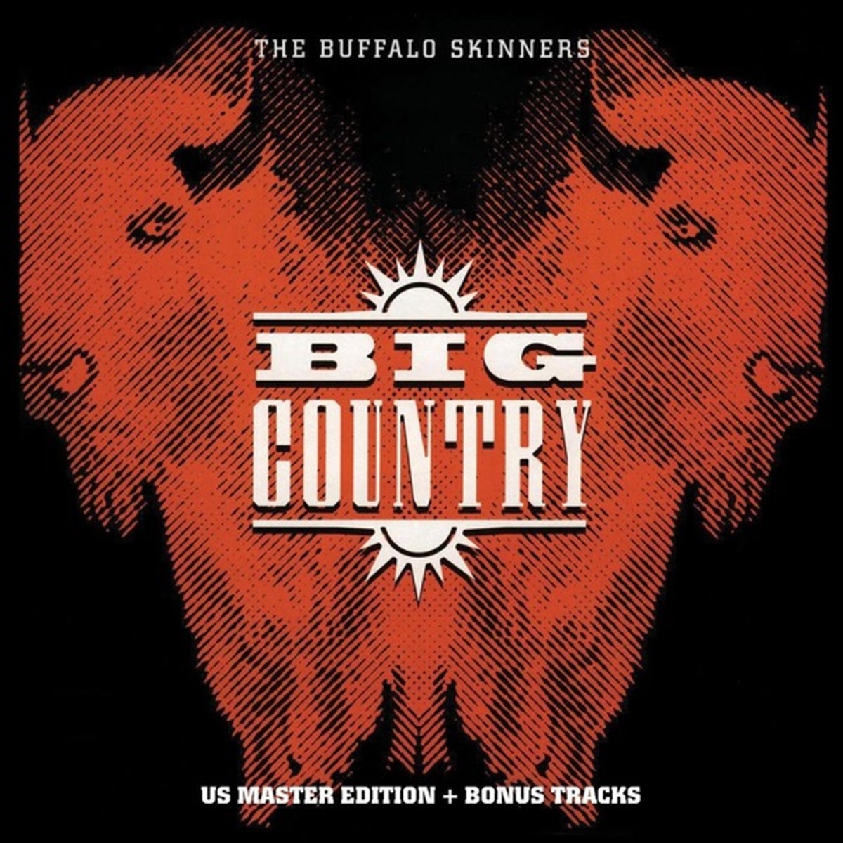 The Buffalo Skinners by Big Country album cover