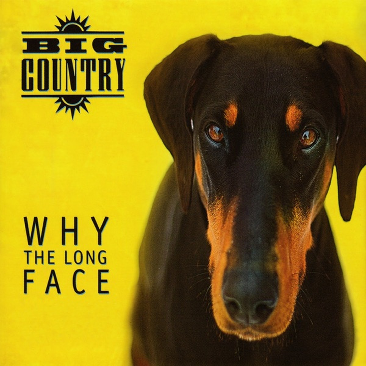Why the Long Face by Big Country album cover
