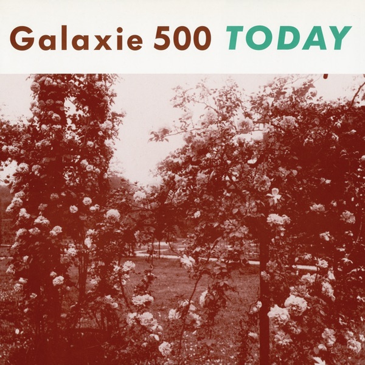 Today by Galaxie 500