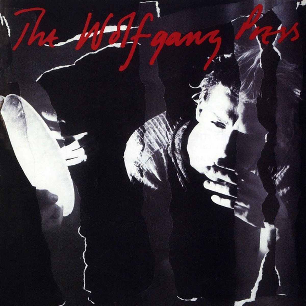 The Burden of Mules by The Wolfgang Press album cover
