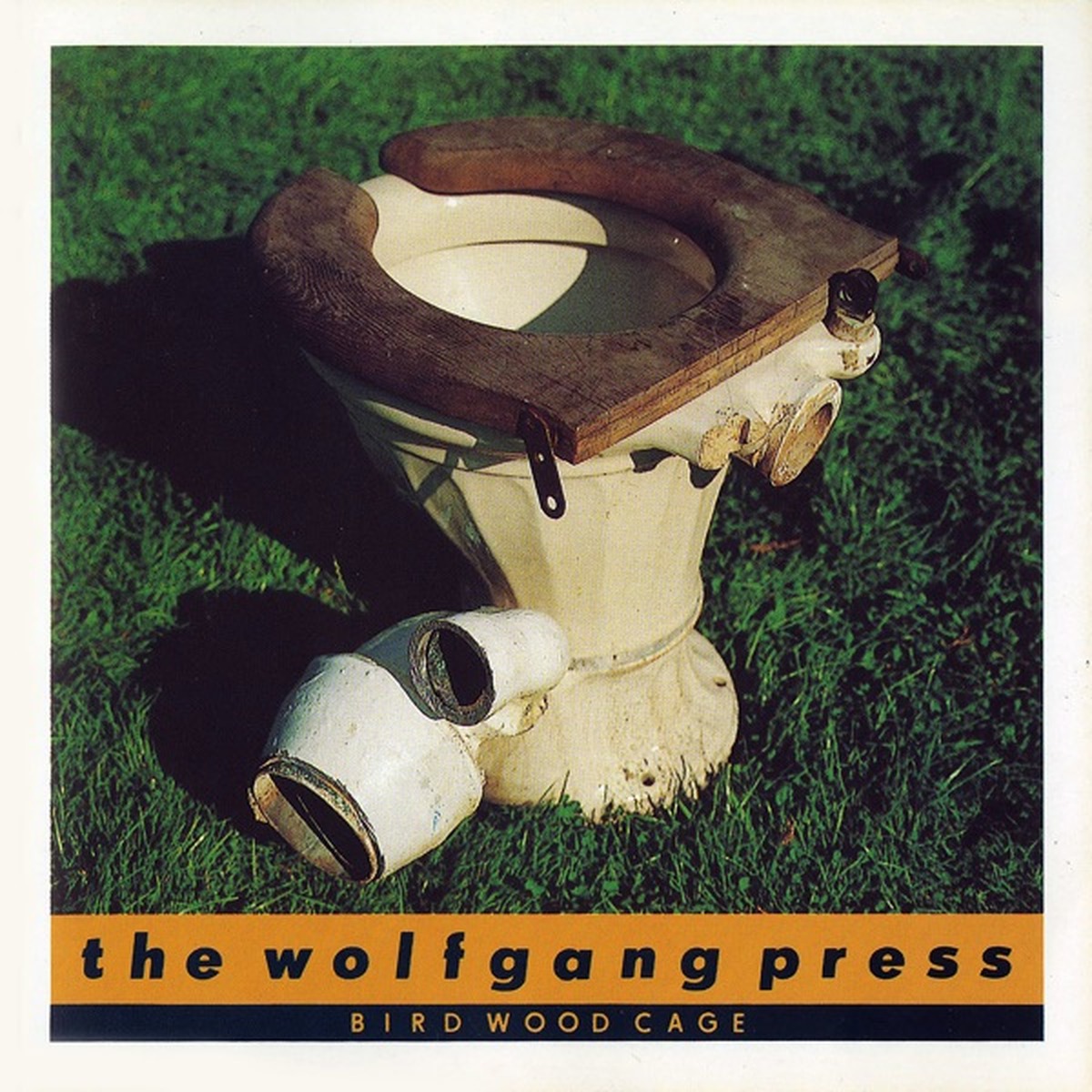 Bird Wood Cage by The Wolfgang Press