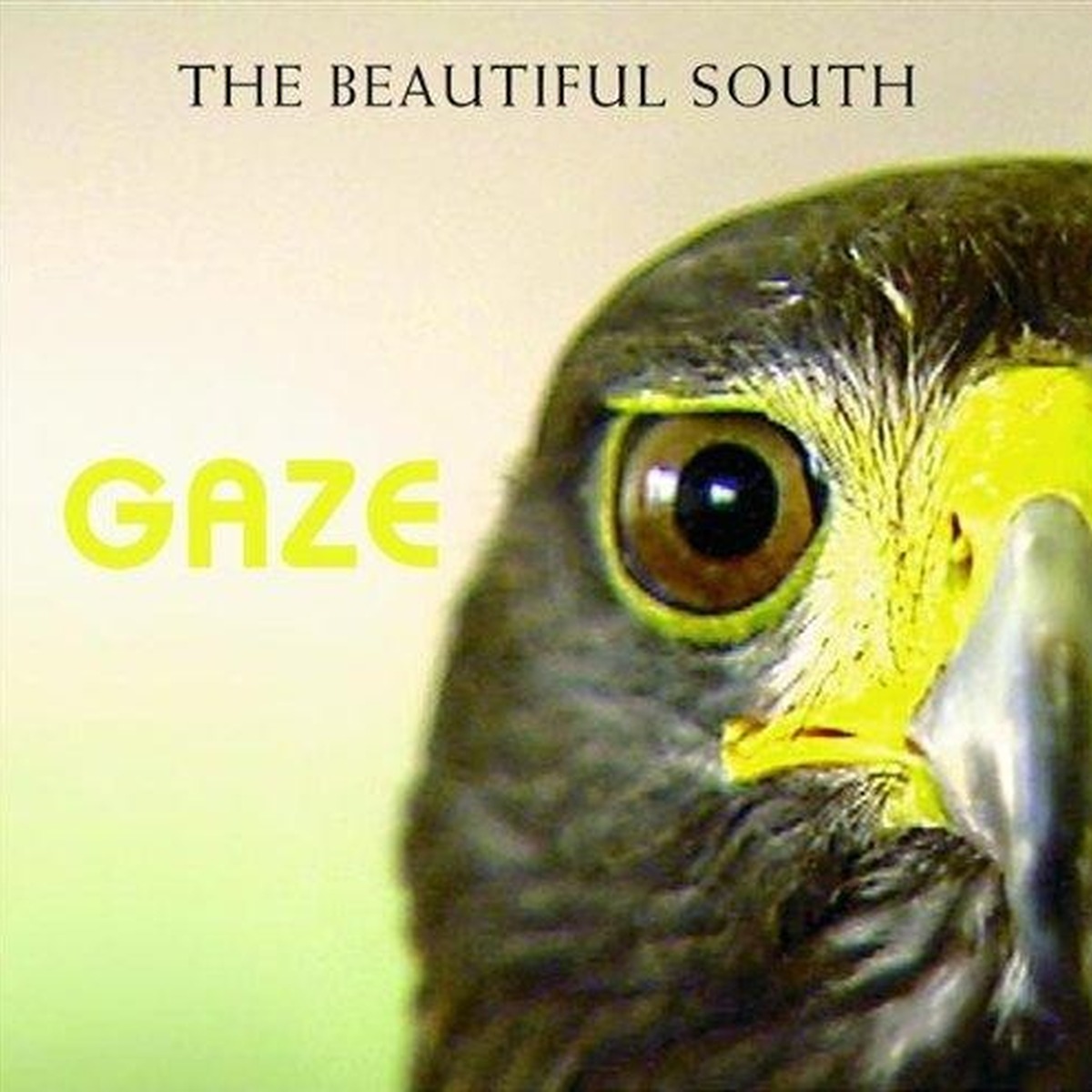 Gaze by The Beautiful South