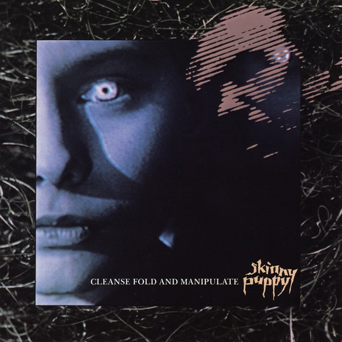 Cleanse Fold and Manipulate by Skinny Puppy