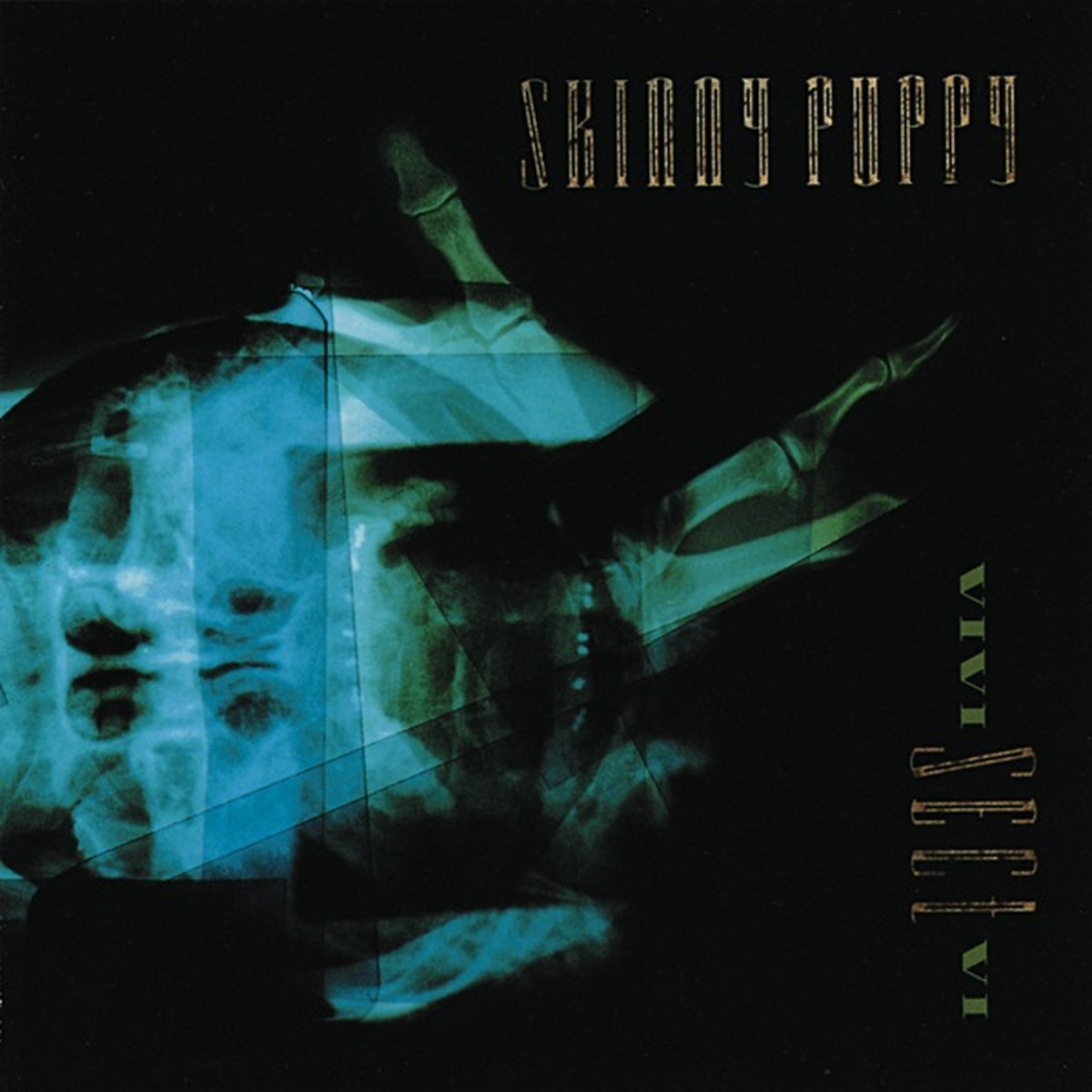 VIVIsectVI by Skinny Puppy