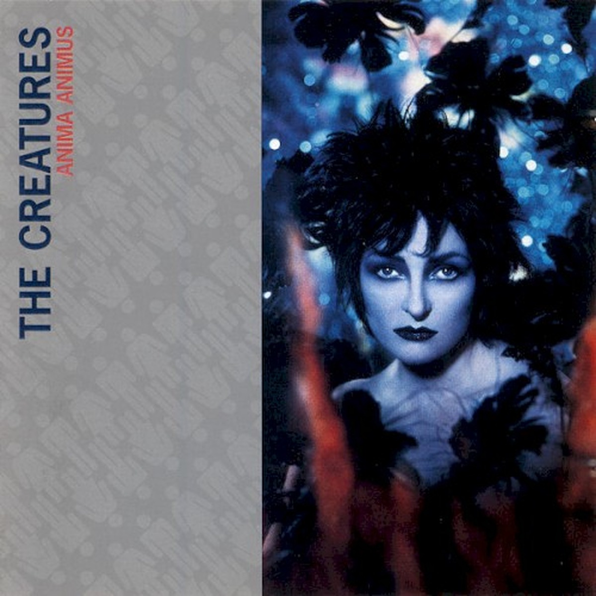 Anima Animus by The Creatures album cover