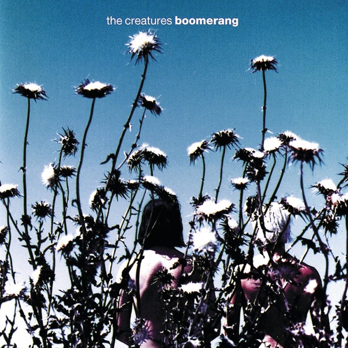 The Creatures - Boomerang
