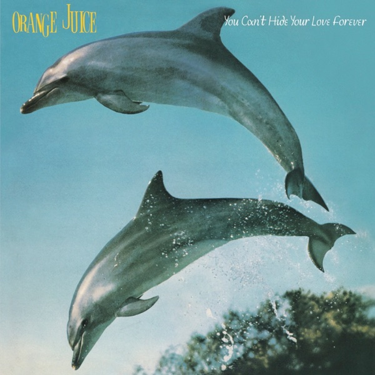 You Can't Hide Your Love Forever by Orange Juice