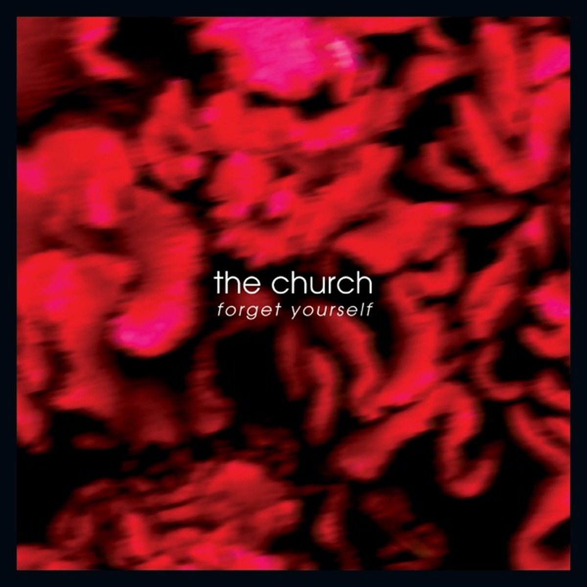 Forget Yourself by The Church album cover