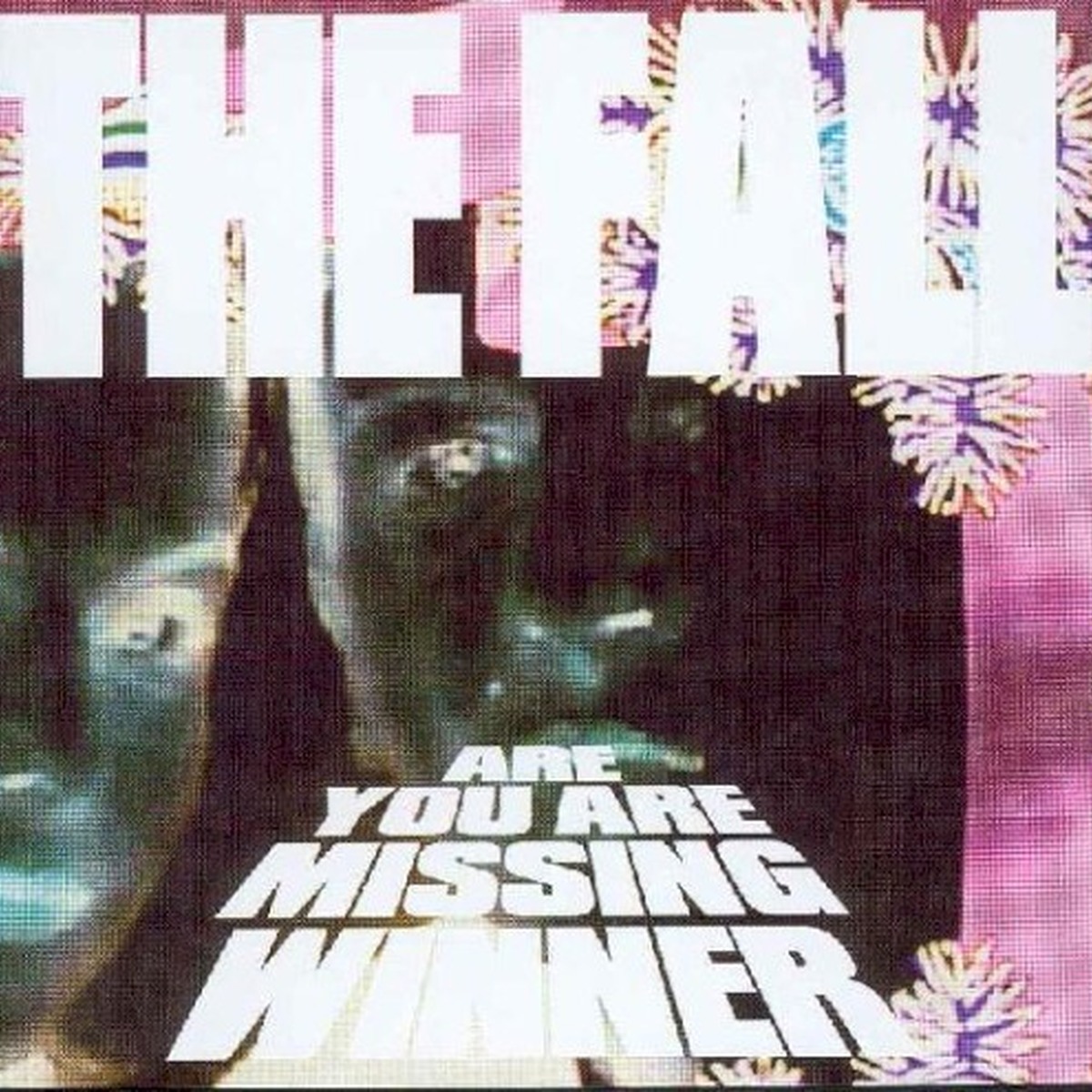 Are You Are Missing Winner by The Fall album cover
