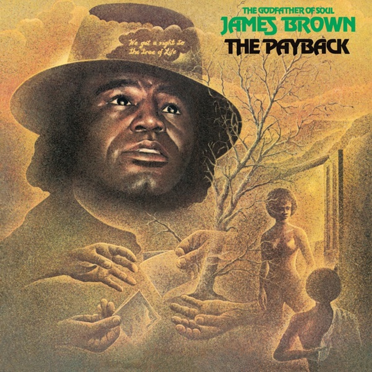 The Payback by James Brown album cover