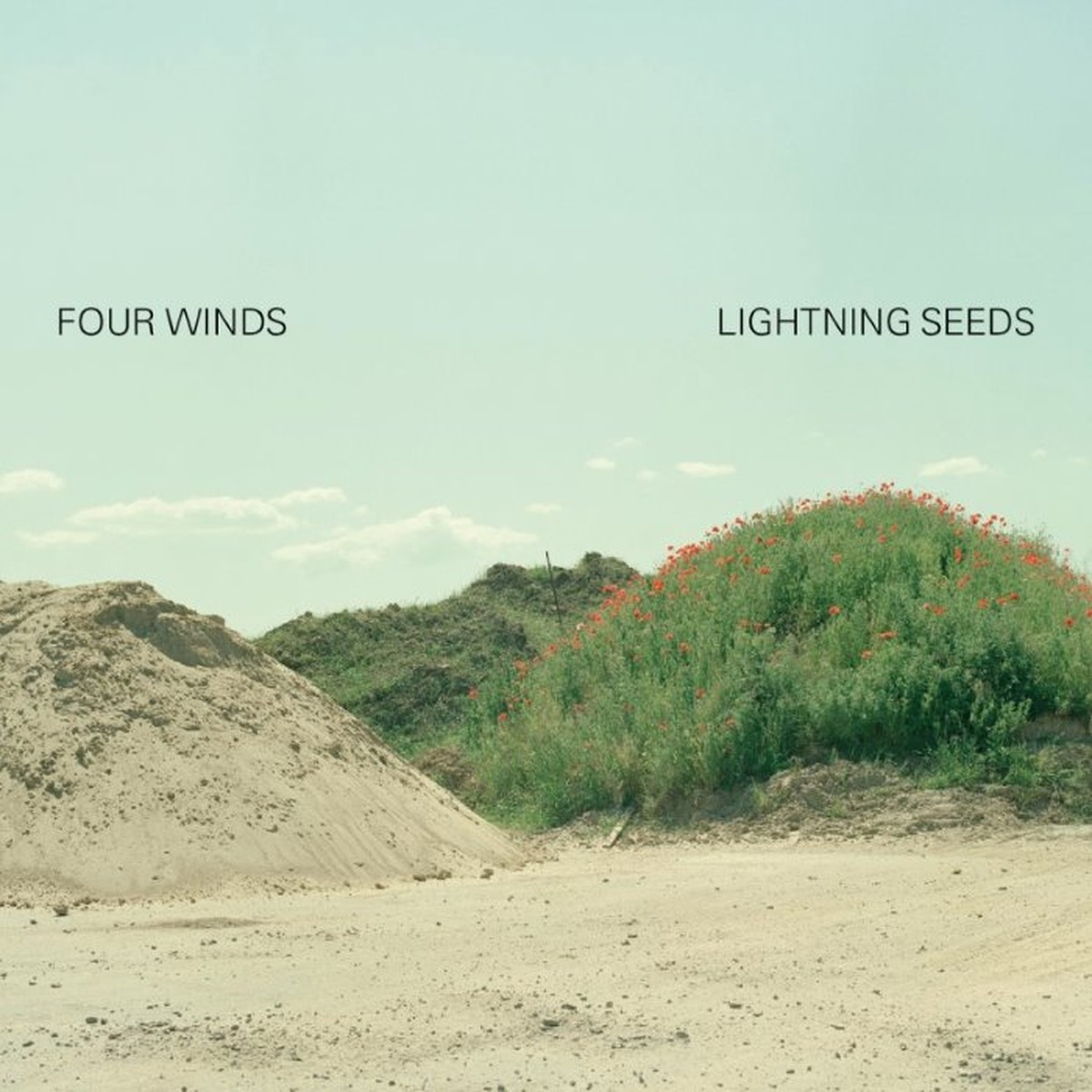 Four Winds by The Lightning Seeds album cover