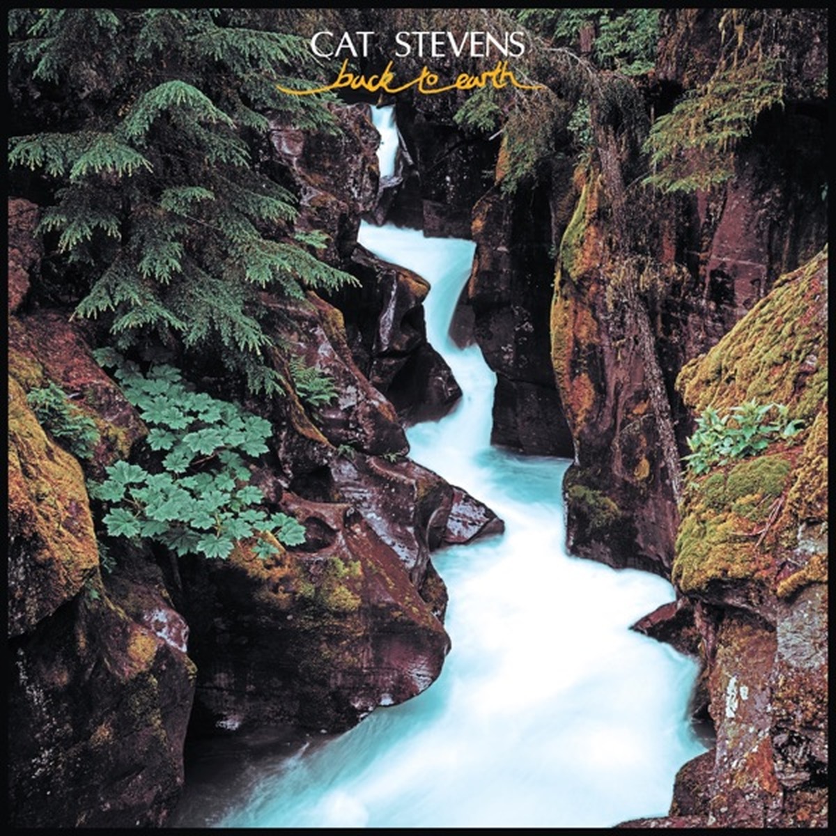 Back to Earth by Cat Stevens album cover