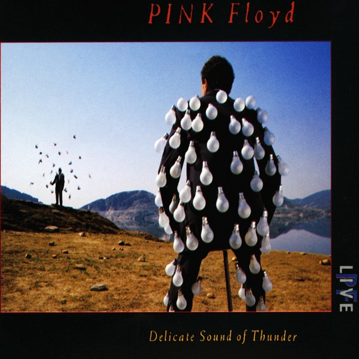 Delicate Sound of Thunder by Pink Floyd album cover