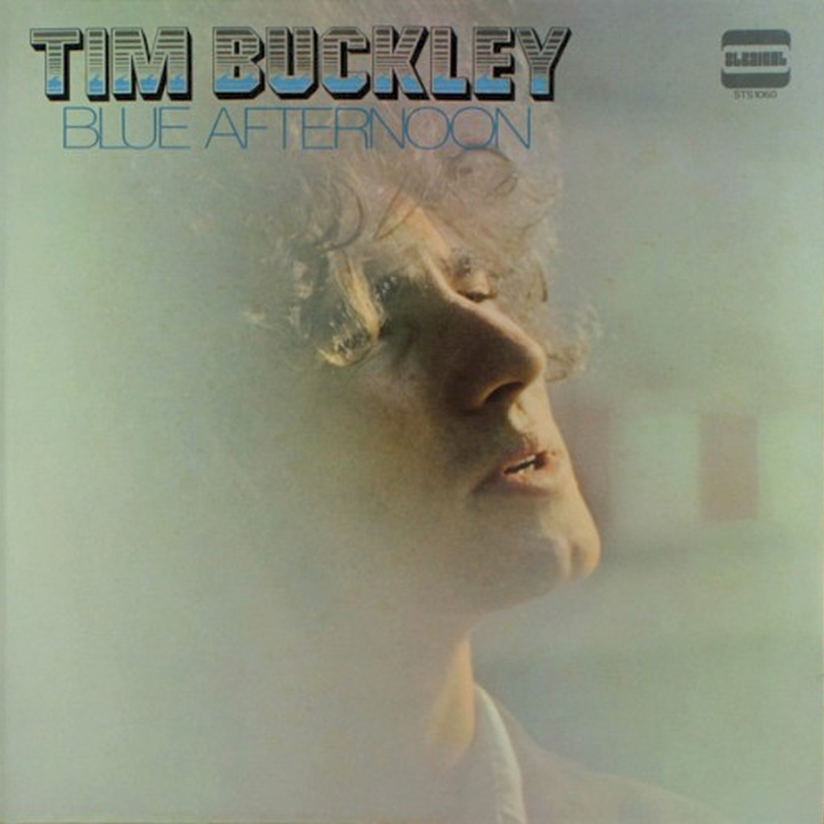 Blue Afternoon by Tim Buckley album cover