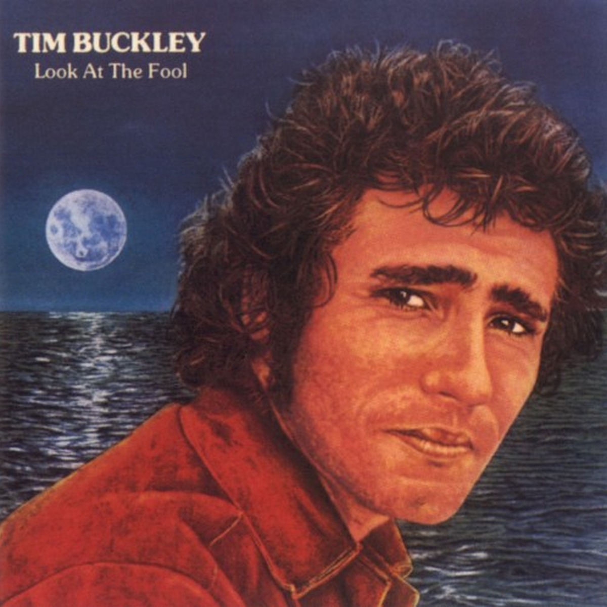 Look at the Fool by Tim Buckley album cover
