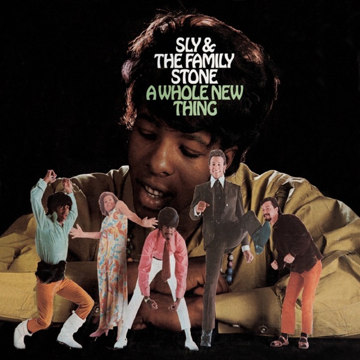 A Whole New Thing by Sly And The Family Stone album cover