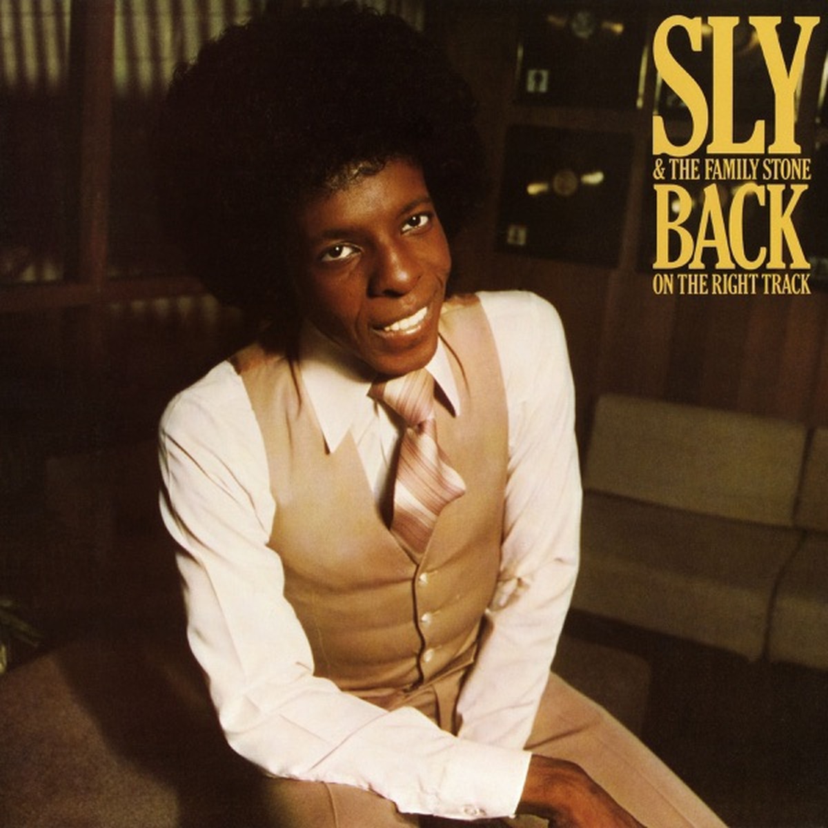 Back on the Right Track by Sly And The Family Stone album cover