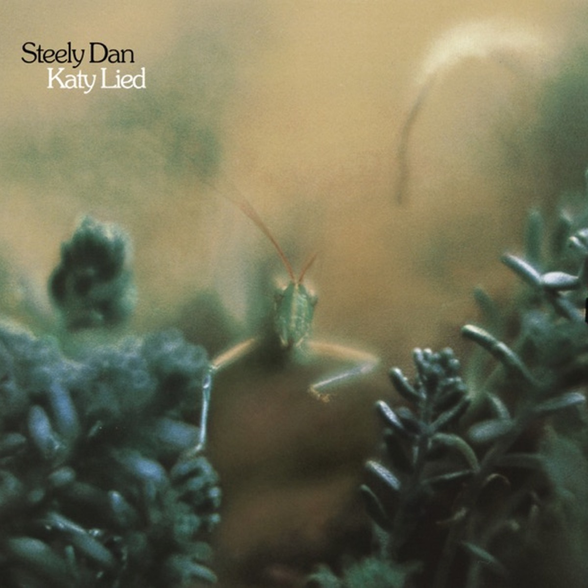Katy Lied by Steely Dan album cover