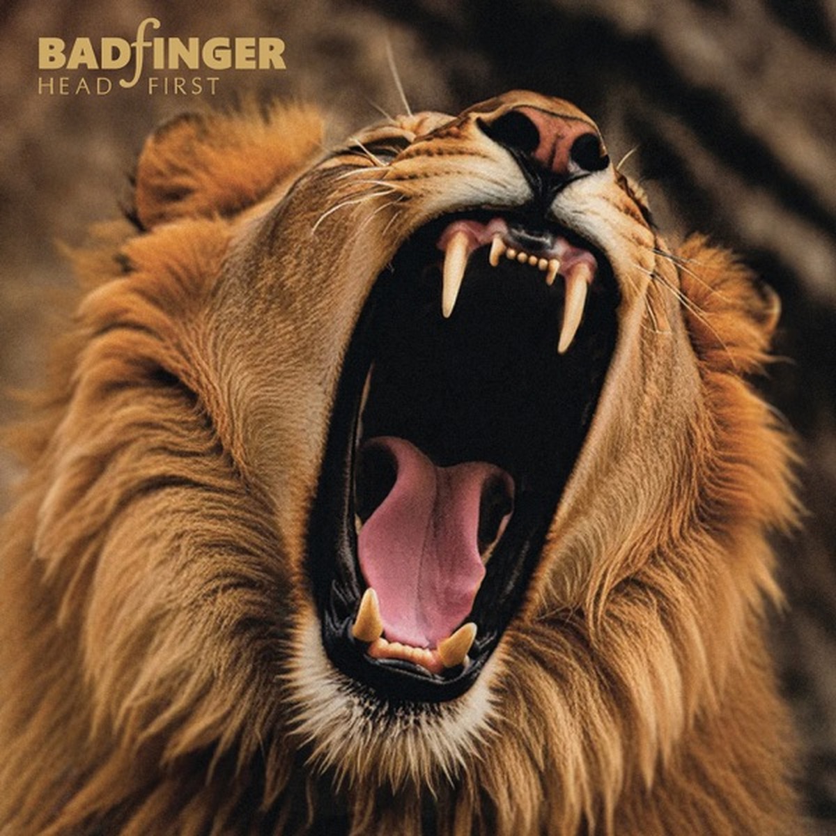 Head First by Badfinger album cover