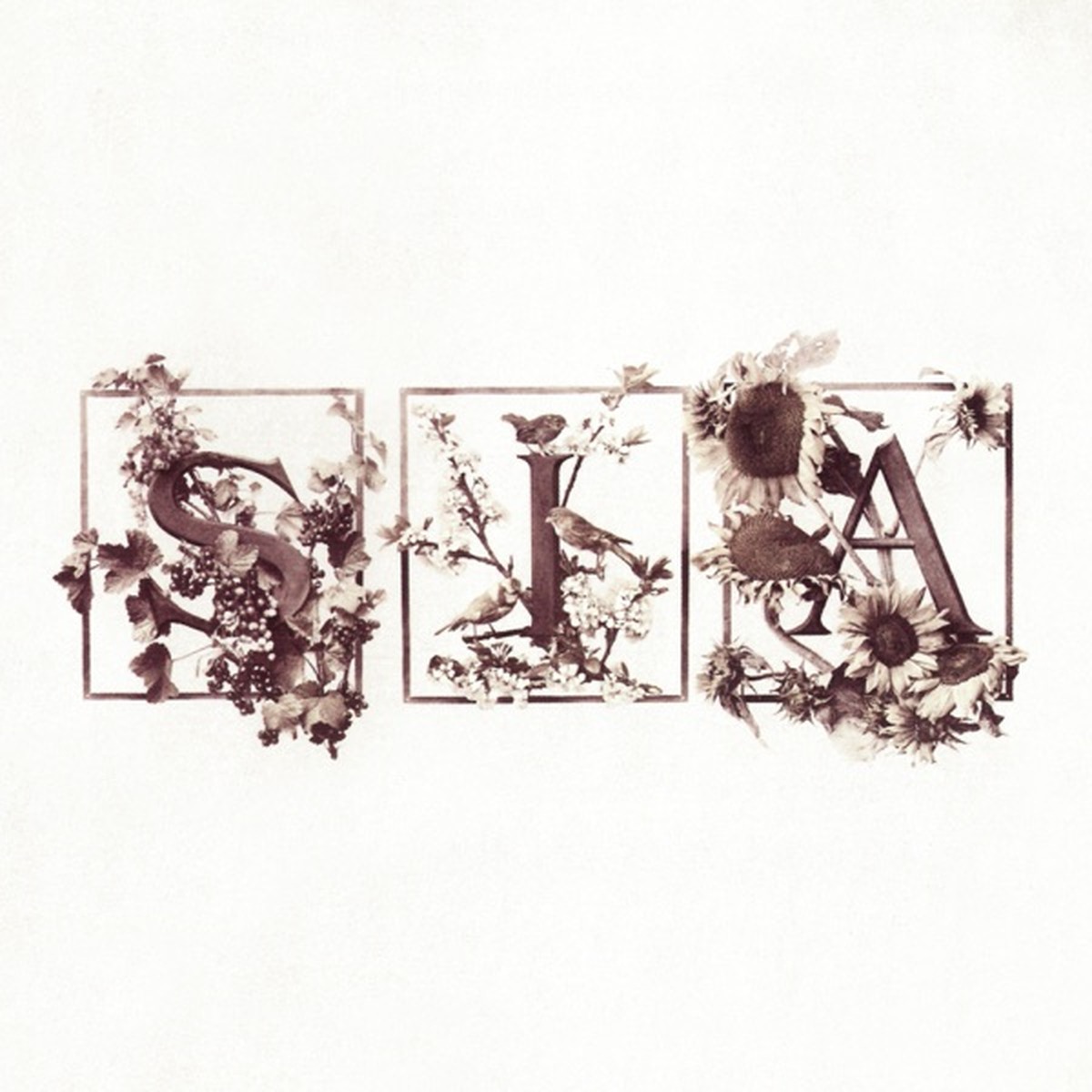 Colour the Small One by Sia album cover