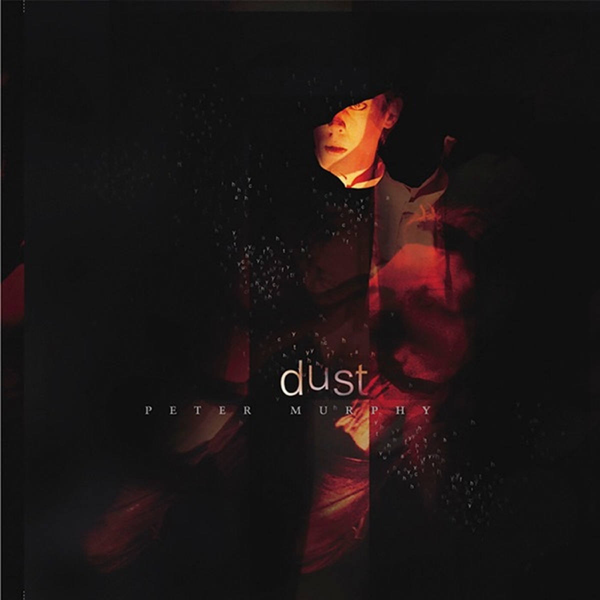 Dust by Peter Murphy album cover