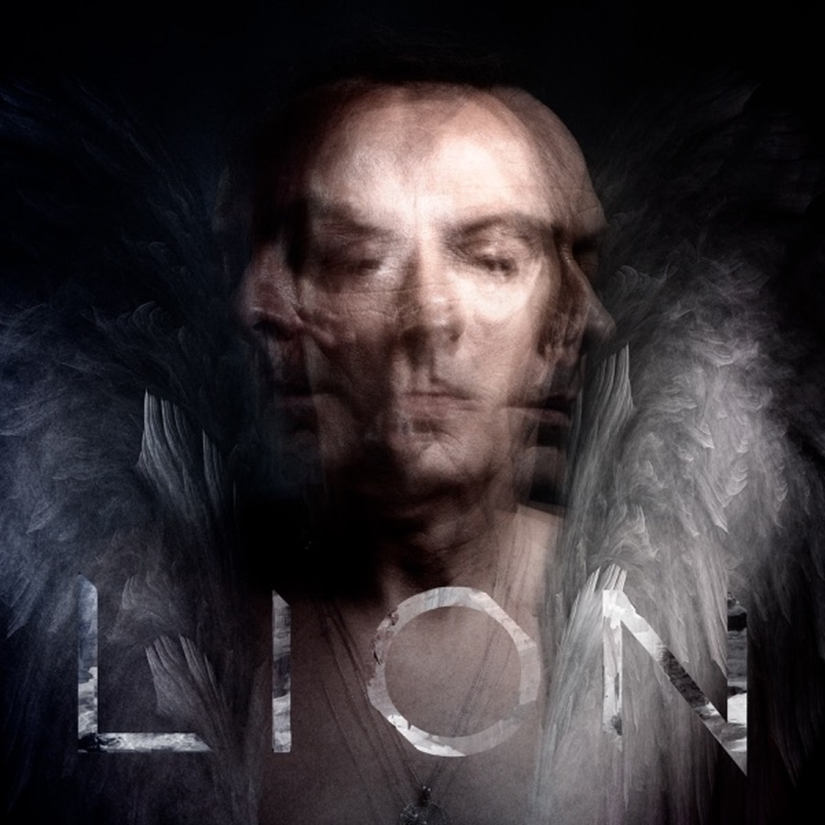 Lion by Peter Murphy album cover