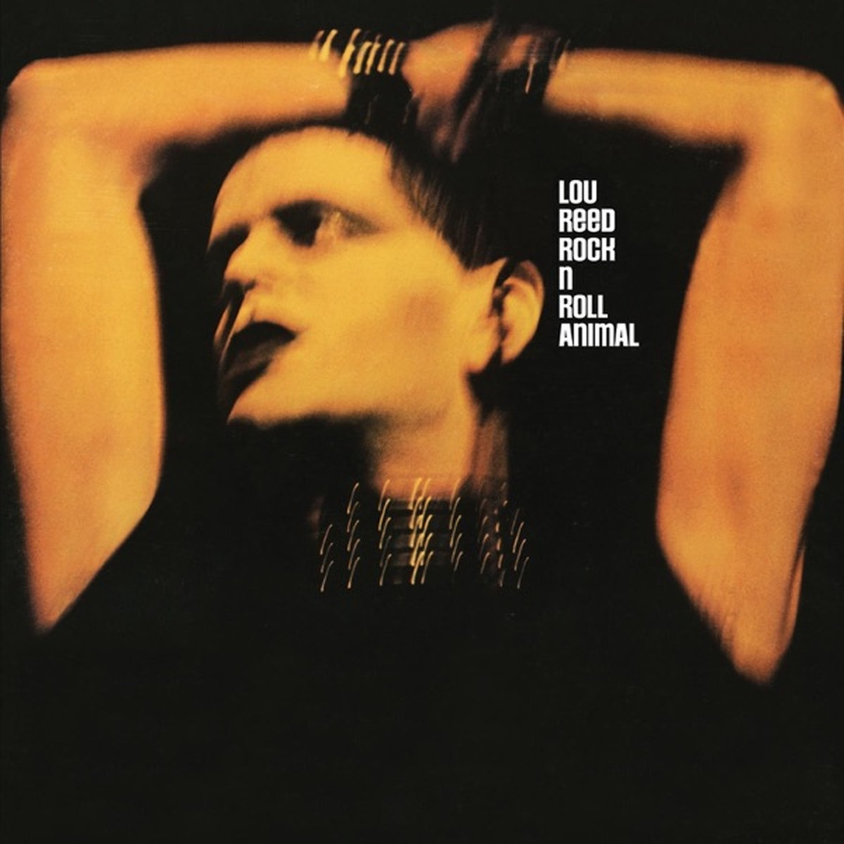 Rock 'n' Roll Animal by Lou Reed