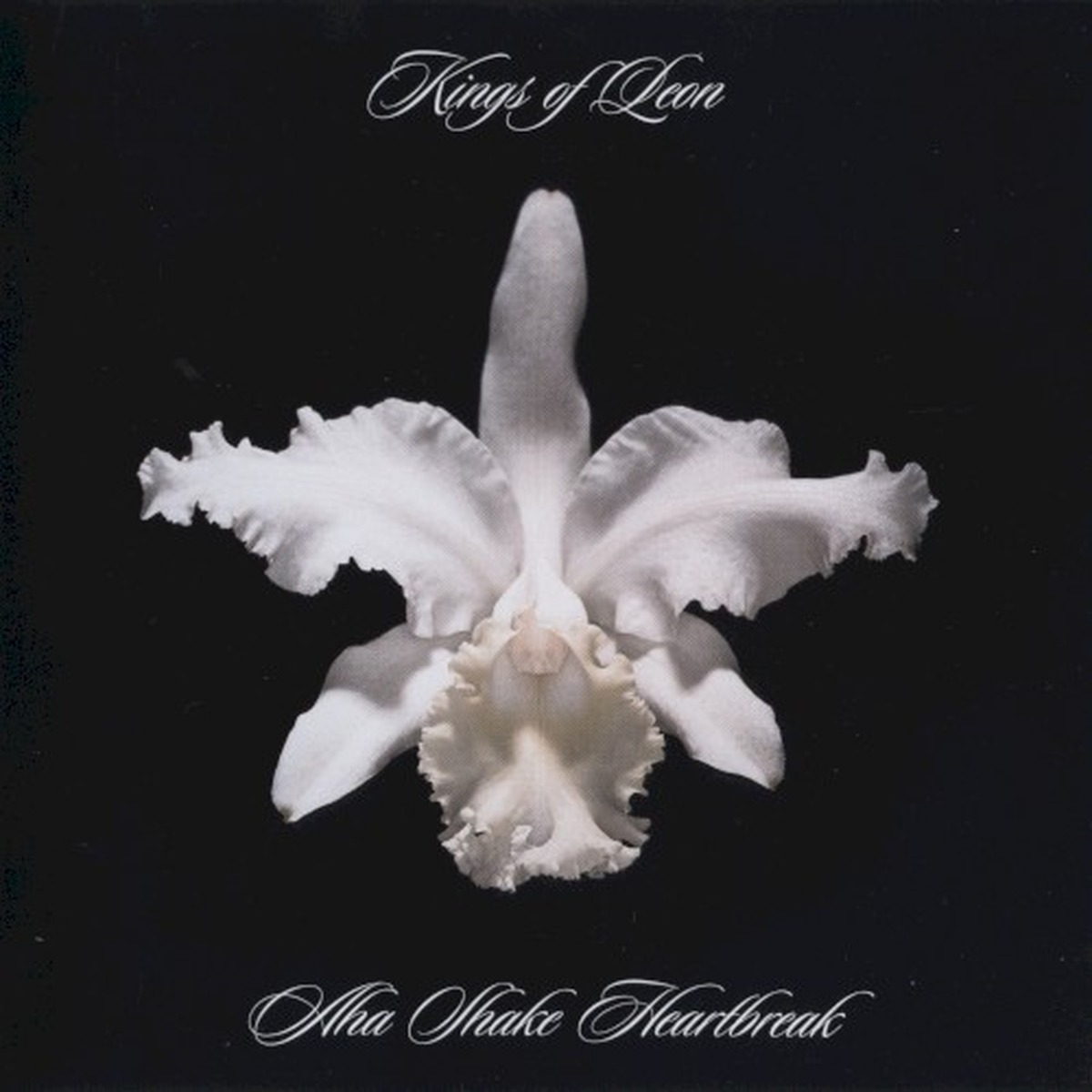 Aha Shake Heartbreak by Kings Of Leon