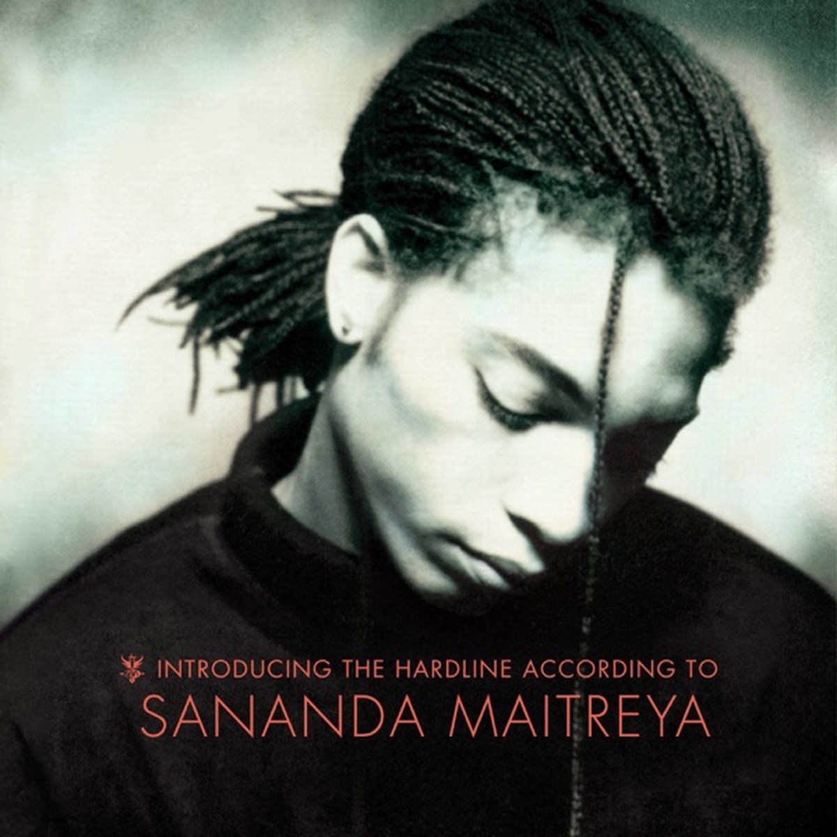 Introducing the Hardline According to Terence Trent D'Arby by Terence Trent D'Arby album cover