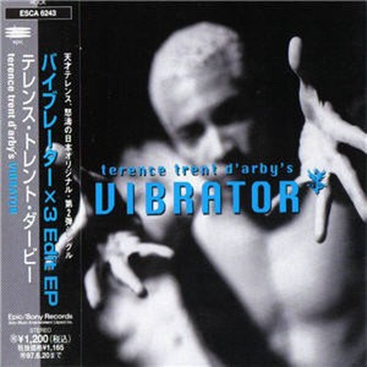 Vibrator by Terence Trent D'Arby album cover