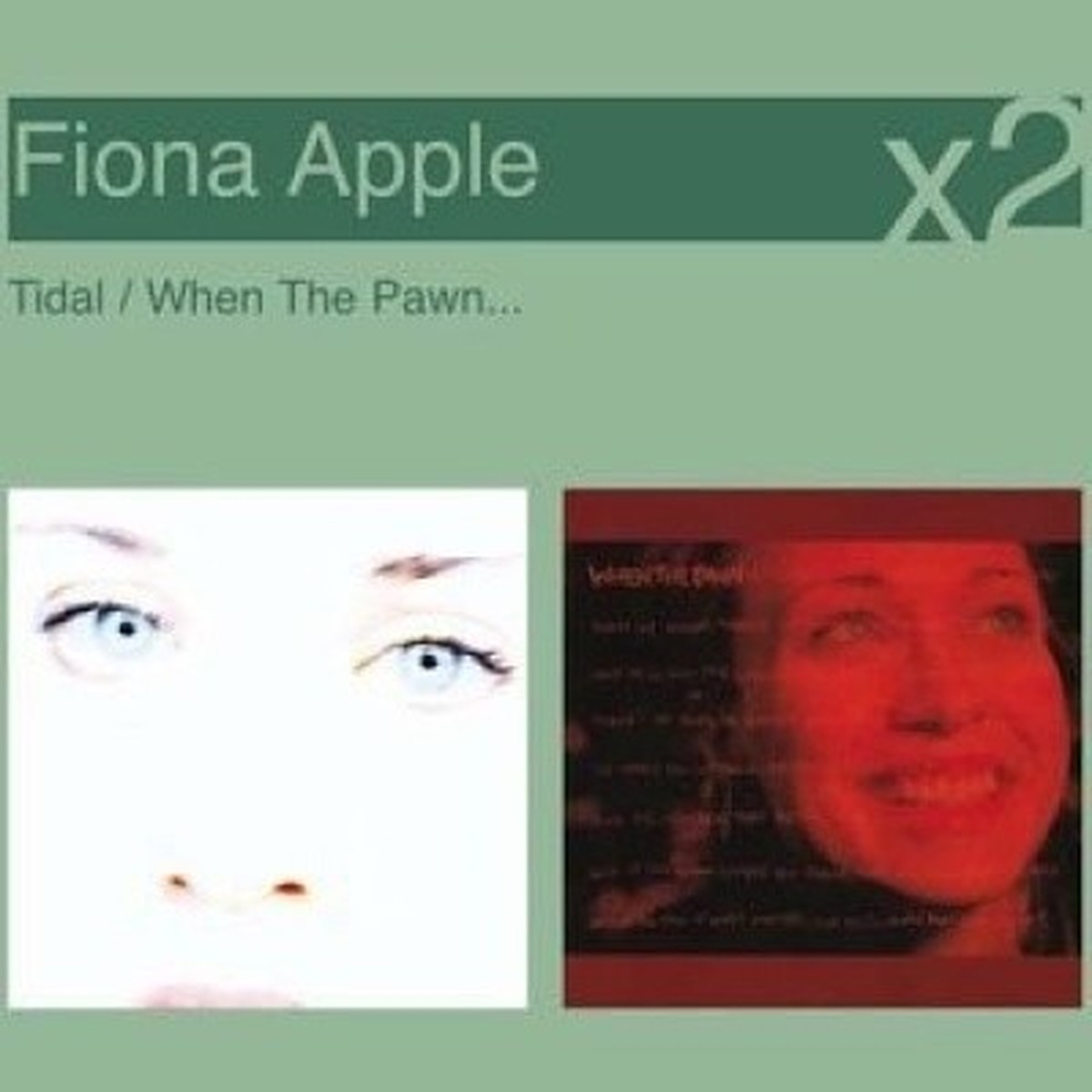 When the Pawn... by Fiona Apple album cover